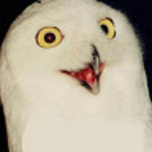 Ships same or next day